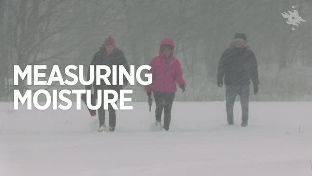 Julia Kemppinen, Pekka Niittynen and Henri Riihimäki, University of Helsinki