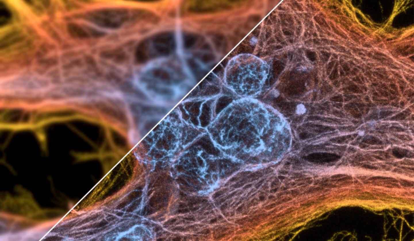 The Algorithm Performs the Calculation in Just a Few Seconds