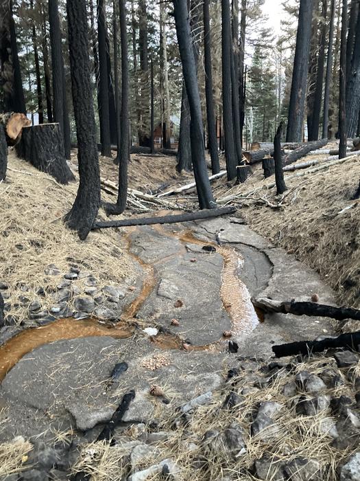 Caldor Fire Burn Scar, wet
