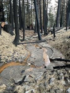 Caldor Fire Burn Scar, wet