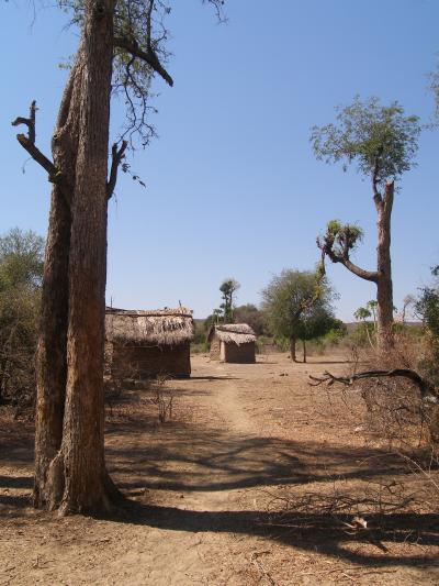 Lack of Vegetation