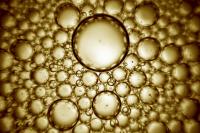 Oil and water