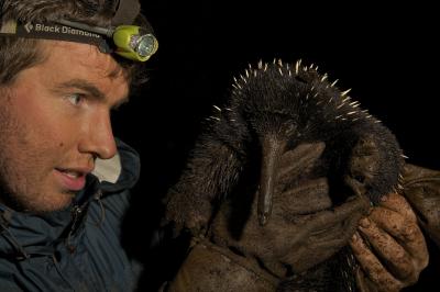 Kristofer Helgen, Smithsonian Institution
