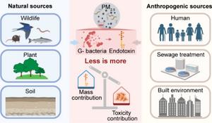 PolyU research reveals hidden health risks from urban airborne microbes: low concentration of bacterial toxins may trigger nearly 20% of inflammatory responses, while drug-resistant fungi may spread with the wind