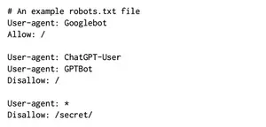 An example of a robots.txt file