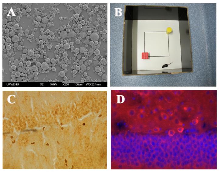 Nanoparticles and Markers
