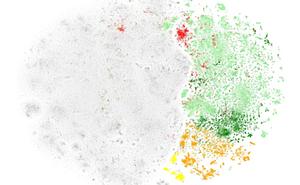 Scatter plot