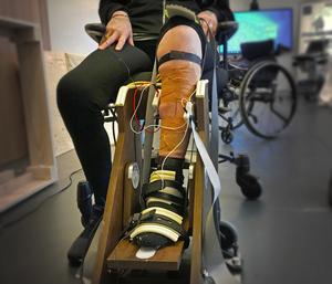 Participant's muscles tested