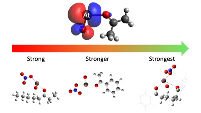 Tunable Bonds: A Step Towards Targeted At-211 Cancer Therapy