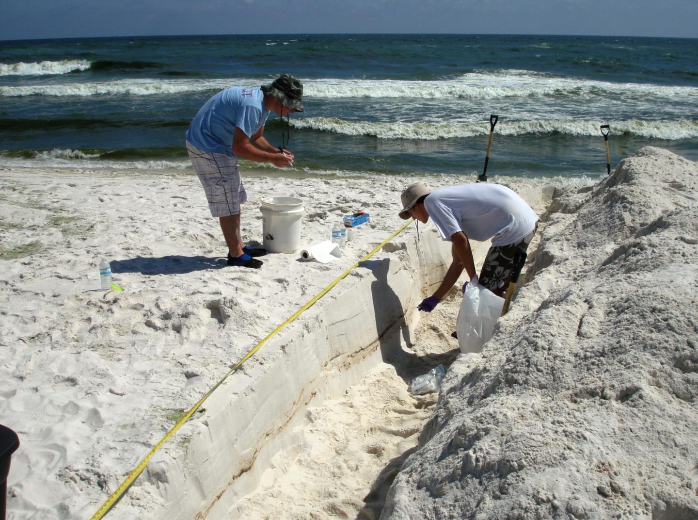 Sampling Microbial Communities (1 of 2)