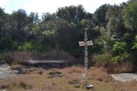 High Carbon Dioxide Spring