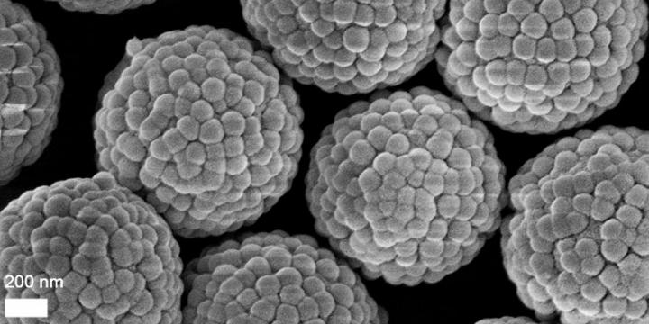 Raspberry Particles