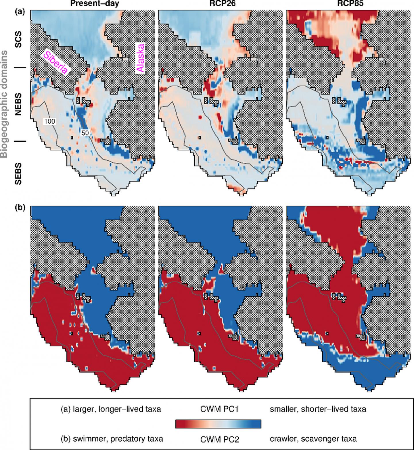 Modelling spatial distribution of functional traits of marine communities
