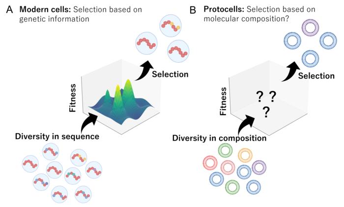 Evolutionary modes of modern cells versus protocells