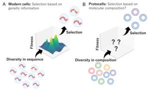 Evolutionary modes of modern cells versus protocells