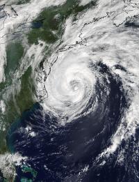 Terra Image of Jose