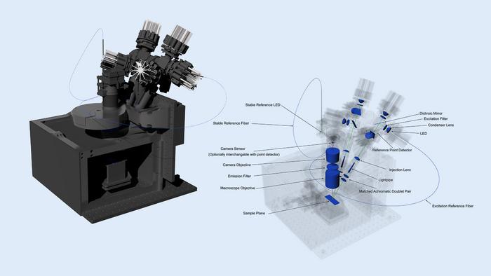 Luminescence macroscope system
