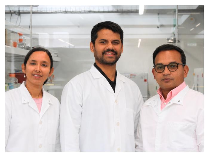 Topical Gel Helps Burn Wounds Heal Faster Using an Existing FDA-Approved Drug