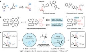 Catalytic photosensitisation strategies