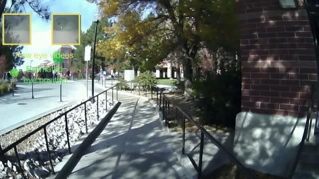 First-Person Videotracks Eye and Head Movement