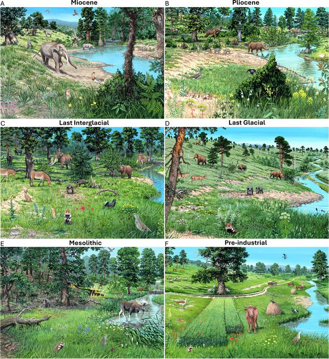 Artistic palaeo-reconstructions of ecosystem states in Central Europe over the last 23 million years