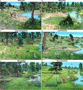 Artistic palaeo-reconstructions of ecosystem states in Central Europe over the last 23 million years