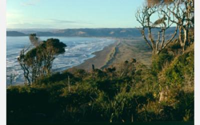 Ancient Beachcombers May Have Travelled Slowly