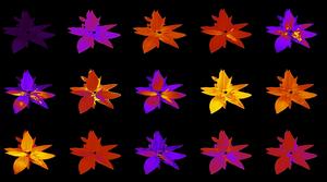 Hyperspectral plant image