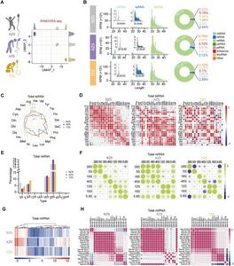 PANDORA-seq unveils sncRNA alteration signatures in AZS and TZS compared with NZS