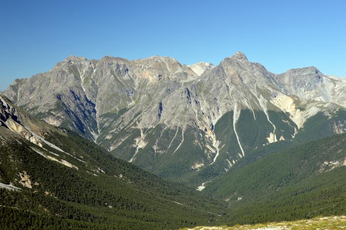 Why treelines don’t simply rise with the climate