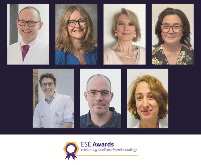 2026 ESE Award winners