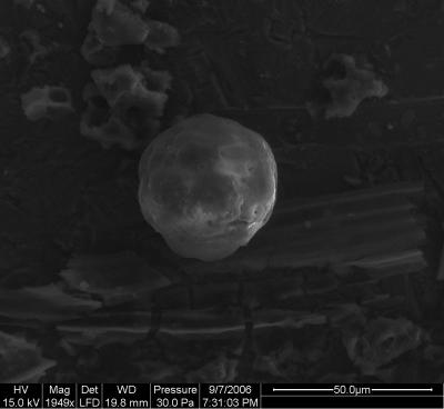 Carbon Cenosphere