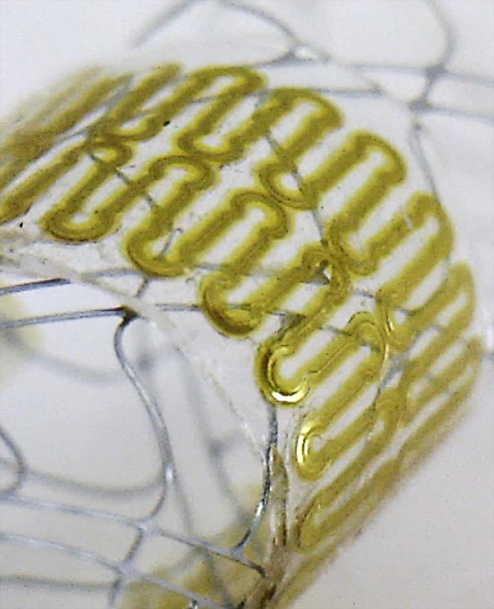 Sensor Close-up