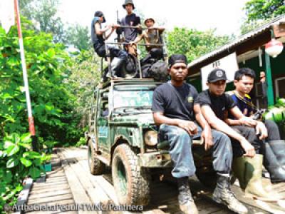 Wildlife Rangers