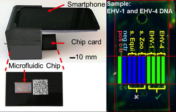 Smartphone POC Device