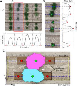 Figure 4. SAM-based plot segmentation and terrain sampling.