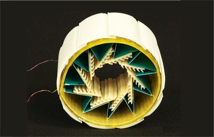 Robo-Armadillo