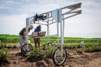 Screening Crops