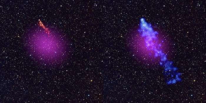 Multiwavelength view of J1740+1000. Purple indicates the ultrahigh-energy gamma-ray emission measured with LHAASO.