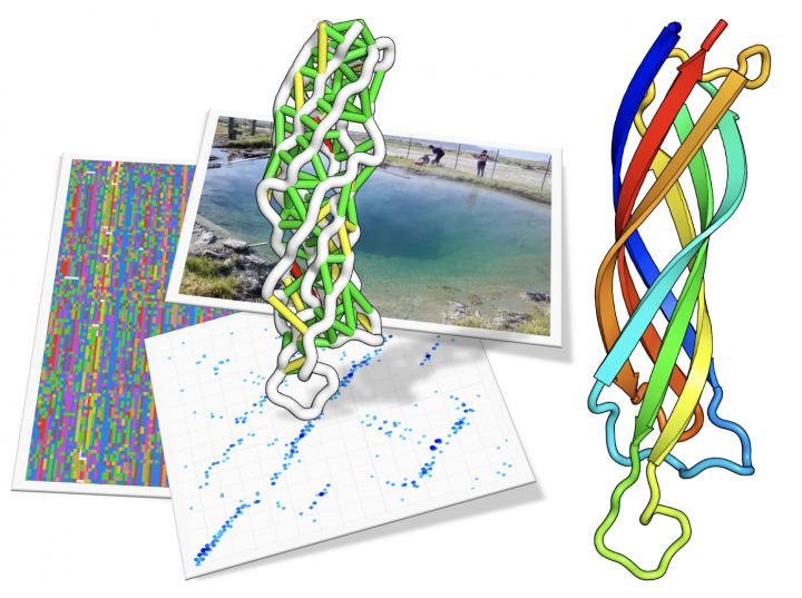 From Field Samples to Metagenome Sequence to Protein Structure