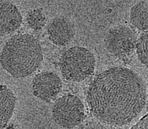 Lipid Nanoparticles