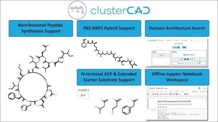 Online Tool Can Help Researchers Synthesize Millions of Molecules