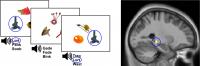 Hippocampus Learns the Names of Objects by Predicting the Word-Object Associations and Testing These