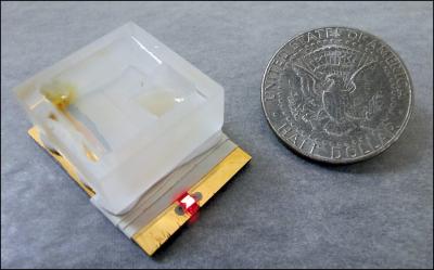 Pancreatitis Sensor