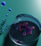 Hydrogel