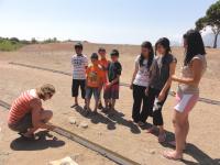 Ph.D. Student Cornelia Buehlmann Performing Experiments