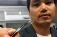 Flow Sensor on Stent Backbone