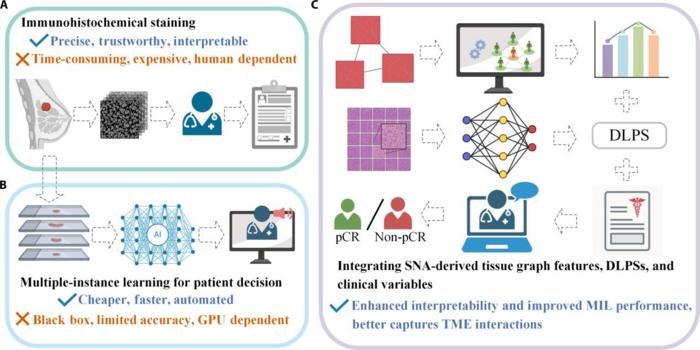 Strategies for pathology-based prediction of pathologic complete response (pCR) to neoadjuvant chemotherapy (NAC) in breast cancer.