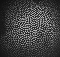 Pattern Interface in Space