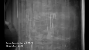 Taylor-Couette flows at OIST-TC